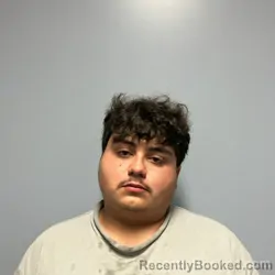 Mugshot of LEONARDO AREY TORRES booked in Roanoke County, Virginia on July 19, 2026