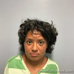 Mugshot of Hylie Vindel booked in Roanoke County, Virginia on July 21, 2026