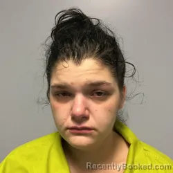Mugshot of Jennifer Lynn Holtzman booked in Roanoke County, Virginia on July 21, 2026