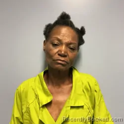 Mugshot of Stephanie Paulette Lee booked in Roanoke County, Virginia on July 22, 2026