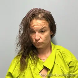 Mugshot of Amanda Dawn Hicks booked in Roanoke County, Virginia on July 23, 2026