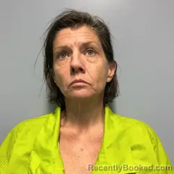 Mugshot of Linda Renee Meadows booked in Roanoke County, Virginia on July 23, 2026