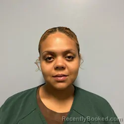 Mugshot of Breeanna Mackenzie Rice booked in Roanoke County, Virginia on July 25, 2026