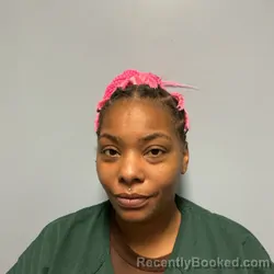 Mugshot of Zenobia Kristina Bird booked in Roanoke County, Virginia on July 25, 2026
