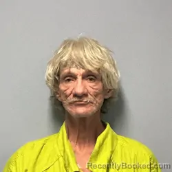 Mugshot of Wayne Lee Donahue booked in Roanoke County, Virginia on July 28, 2026