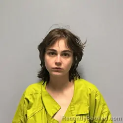 Mugshot of Sarah Katherine Elizabeth Wood booked in Roanoke County, Virginia on July 30, 2026