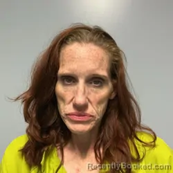 Mugshot of Tracy Michelle Deel booked in Roanoke County, Virginia on July 30, 2026