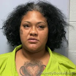 Mugshot of Tiffany Alana Hairston booked in Roanoke County, Virginia on August 1, 2026