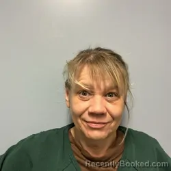 Mugshot of Johnnica Renee Likens booked in Roanoke County, Virginia on August 3, 2026