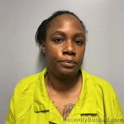 Mugshot of Dominique Raquel Terry booked in Roanoke County, Virginia on August 5, 2026