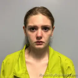 Mugshot of Miranda Ann Aldridge booked in Roanoke County, Virginia on August 5, 2026