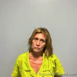 Mugshot of Lisa Lynn Stanley booked in Roanoke County, Virginia on August 7, 2026