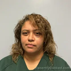 Mugshot of Mica Adams Conner booked in Roanoke County, Virginia on August 8, 2026