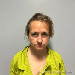 Mugshot of Brandy Lee Rheaume booked in Roanoke County, Virginia on August 31, 2026