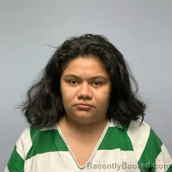 Mugshot of Yoselyn De Maria Garcia Diaz booked in Roanoke County, Virginia on September 3, 2026