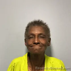Mugshot of Diane E Hopkins booked in Roanoke County, Virginia on September 3, 2026