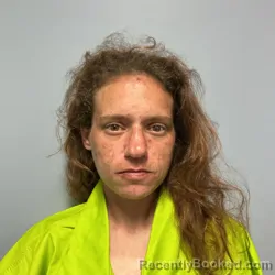 Mugshot of Stephanie Nicole Reese booked in Roanoke County, Virginia on September 7, 2026