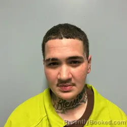 Mugshot of Bothayna Sky-Ayman Salama booked in Roanoke County, Virginia on September 9, 2026