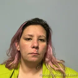 Mugshot of Jillian Grace Harrison booked in Roanoke County, Virginia on September 10, 2026