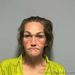 Mugshot of Ginoh Gigi Meade booked in Roanoke County, Virginia on September 11, 2026