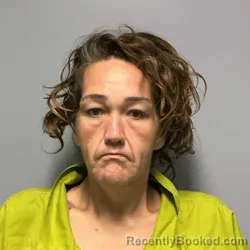 Mugshot of Ginoh Gigi Meade booked in Roanoke County, Virginia on September 12, 2026
