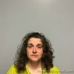 Mugshot of Toni Nichole Taylor booked in Roanoke County, Virginia on September 13, 2026