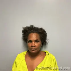 Mugshot of Latoria Danielle Minnis booked in Roanoke County, Virginia on September 21, 2026