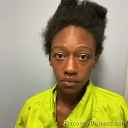 Mugshot of Tamara Nicole Hudson booked in Roanoke County, Virginia on September 22, 2026