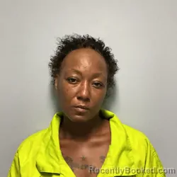 Mugshot of Anjeanette Lee Millner booked in Roanoke County, Virginia on September 24, 2026