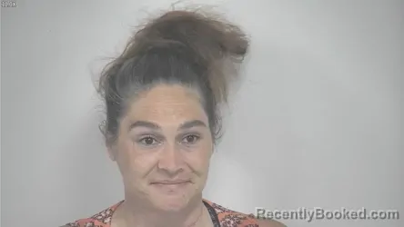 Mugshot of ALICIA DAWN MCCORMICK booked in Rockbridge County, Virginia on June 16, 2026