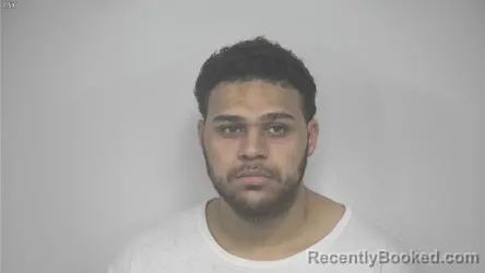 Mugshot of ANTHONY JAVON RICHARDSON booked in Rockbridge County, Virginia on June 15, 2026