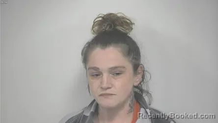 Mugshot of Ashley Danelle Wheeler booked in Rockbridge County, Virginia on October 21, 2026