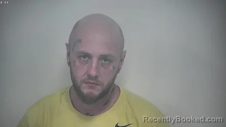 Mugshot of BRANDON SCOTT ANDERSON