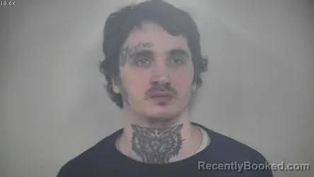 Mugshot of BRYANT PRESTON LOWMAN