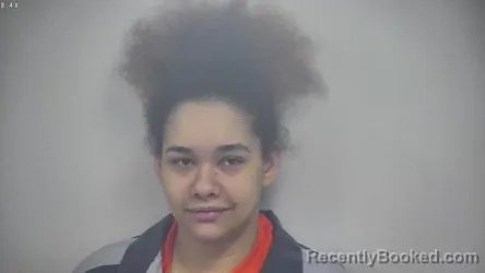 Mugshot of CHEYENNE NICOLE CAMDEN