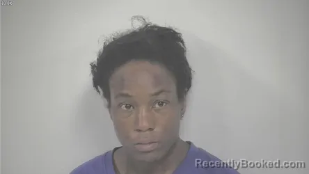 Mugshot of DEANDREA LOVE WALKER booked in Rockbridge County, Virginia on June 2, 2026