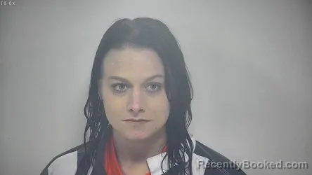 Mugshot of HEATHER BROOK CLARK booked in Rockbridge County, Virginia on April 2, 2026