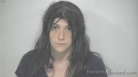 Mugshot of JULINE RYAN ARIEL DEVOE booked in Rockbridge County, Virginia on June 9, 2026