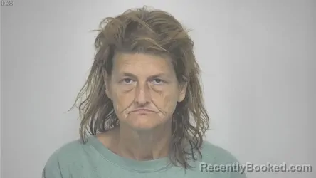 Mugshot of Julianna Racquel Savoy booked in Rockbridge County, Virginia on August 5, 2026