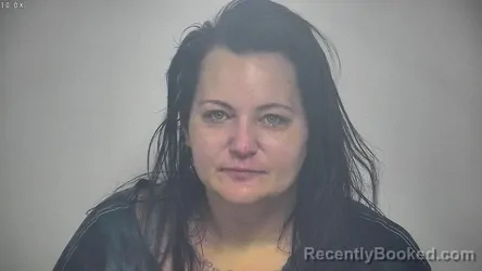 Booking photo from Rockbridge County, Virginia