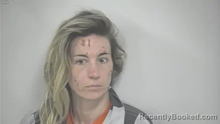 Mugshot of KATYA NEAL TOTTY booked in Rockbridge County, Virginia on June 24, 2026