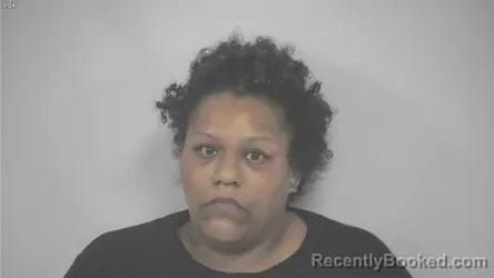 Mugshot of Laporchia Danielle Ruffin booked in Rockbridge County, Virginia on August 22, 2026