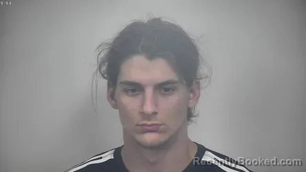 Mugshot of ROGER WADE ARTER