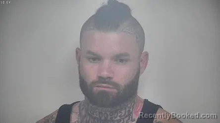 Mugshot of ROBERT PAUL HAINES