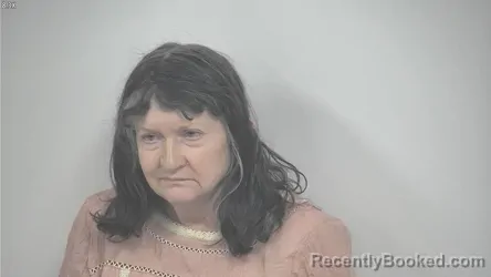 Mugshot of SYLVIA ALLISON WILLIAMS booked in Rockbridge County, Virginia on May 6, 2026