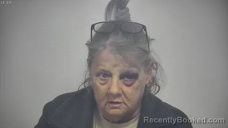 Mugshot of THERESA MARIE FITZGERALD