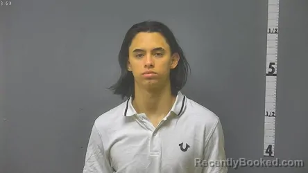 Mugshot of JAVIER SEGURA-CALIX