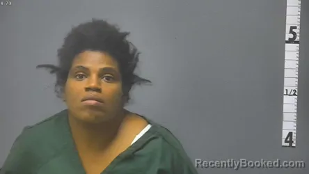 Mugshot of ANA VIRGILIA LUIS MEDINA