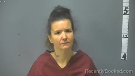 Mugshot of AMANDA DAWN SHIFFLETT