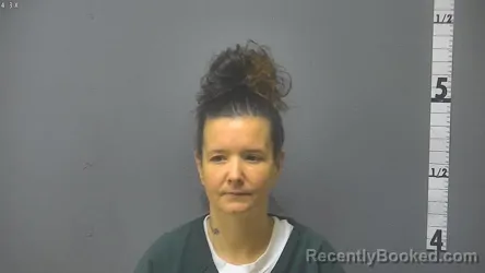 Mugshot of AMANDA DAWN SHIFFLETT